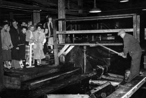 Visite guide dans l'atelier de prparation du bois de l'usine Fraser d'Edmundston