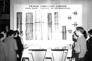 Visite guidée dans l'atelier de déchiquetage de l'usine Fraser d'Edmundston