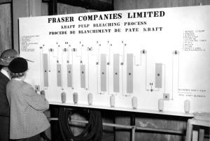 Guided Tour Demonstrating the Kraft Pulp Bleaching Process