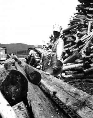 Des travailleurs placent du bois sur le convoyeur