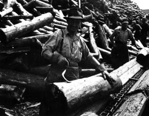 Mill Workers with Pulpwood Hook