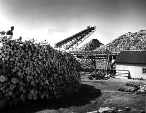 Piles et cordes de bois dans la cour de l'usine Fraser d'Edmundston