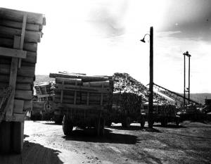 Trucks Loaded with Pulpwood Ready to Unload at the Edmundston Mill Conveyor