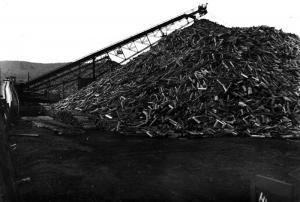 Pile de bois sur le terrain de l'usine Fraser d'Edmundston
