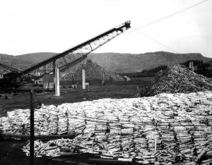 Pile de bois cordé sur le terrain de l'usine Fraser d'Edmundston