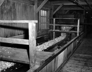 Chips Bin at the Edmundston Fraser Mill