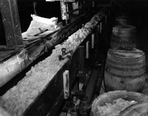 Conveyor Transporting Stock to the Bleaching Department of the Edmundston Fraser Mill