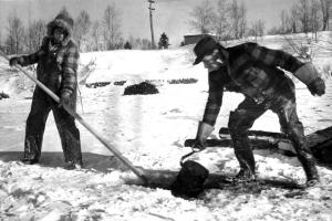 Salvaging Wood from the Madawaska River with a Pike Pole  and a Pulpwood Hook
