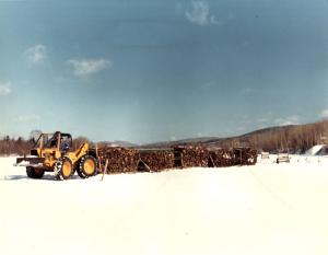A Skidder Pulling  a Train of Sleds Loaded with Wood