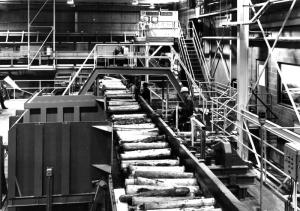 Triage sur la plate-forme de l'atelier de prparation du bois  l'usine Fraser d'Edmundston