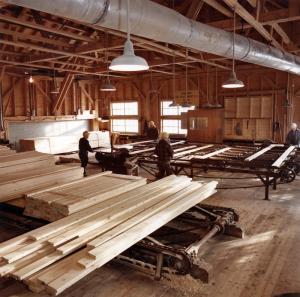 Tri des planches dans l'entrept de triage  la scierie Fraser de Plaster Rock