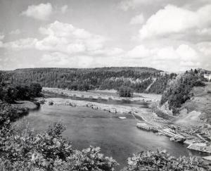 Drive on the Tobique River in 1948