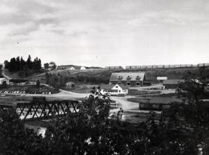 The Plaster Rock Fraser Sawmill in 1950