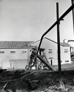 The Plaster Rock Fraser Sawmill in 1955