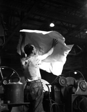 M. Bib Levesque inspecte le carton dans le service du carton  l'usine Fraser d'Edmundston