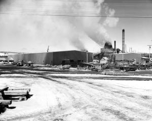 L'usine de sciage Fraser de Kedgwick en 1970
