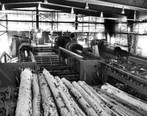 corceuse dans l'usine de sciage de la scierie Fraser de Kedgwick