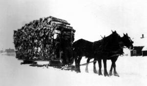 A Loaded Sled Pulled by a Team of Horses