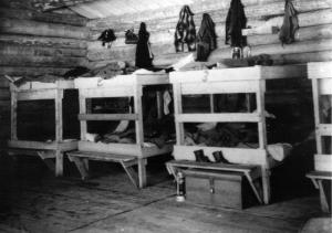 Bunk Beds in Lumber Camp