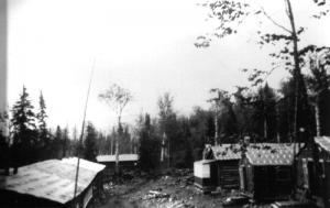 Camp de bois rond et de papier asphalt