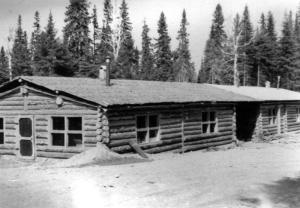 Camp 46 Near Brown Brook