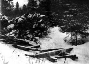 Sled Mishap in 1912