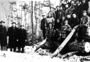 Young Men Posing on Logs