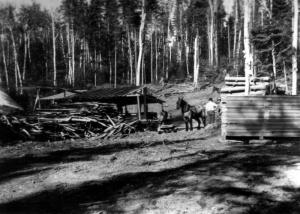 Portable Sawmill near Baisey Brook