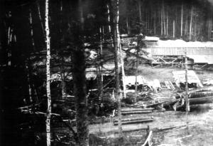 Sawmill in the Témiscouata Region