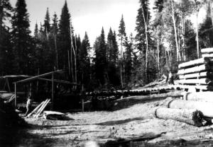 Sawmill near Baisley Brook