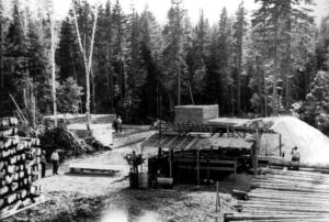 Portable Sawmill at  Baisley