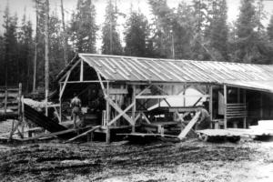 Portable Sawmill