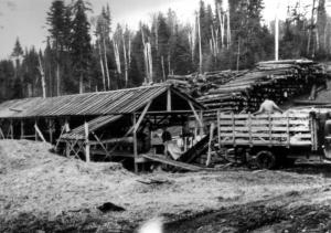 Portable Sawmill in the Temiscouata region