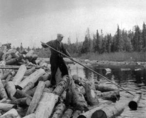 Logger Standing on a Wood Pile