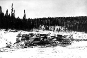 Des piles de bois le long de la rivire