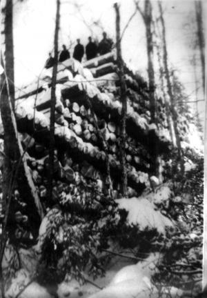 Une pile de bois de 100 pieds de haut