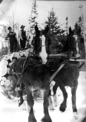 Men on Sled Loaded with Logs