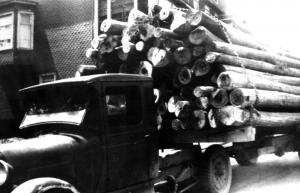 A Load of Logs on a Truck