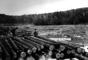 A River of Logs