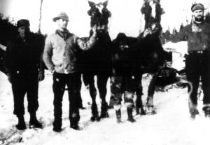 Travailleurs avec leurs chevaux