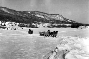 Traneaux tirs par des chevaux sur la rivire Madawaska