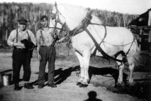 M. Fred Pettigrew avec un bcheron et un cheval