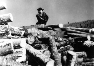 Mr. Lonard Boss on a Log Pile