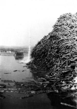 A Log Pile on the Madawaska River