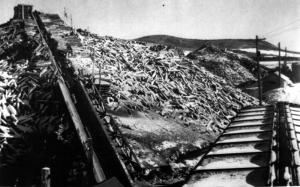 A Train at the Saint Jacques Conveyor