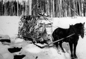 Horse Pulling a Sled