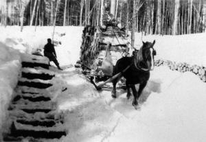 A Loaded Sled Pulled by a Horse