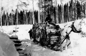 Loaded Sled Pulled by a Horse