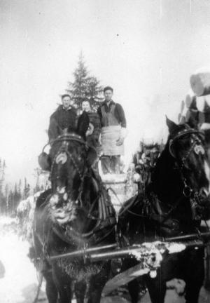 Des chevaux transportent un voyage de bois