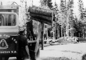 Mr. Adlard Roy Loading 4-Foot Logs